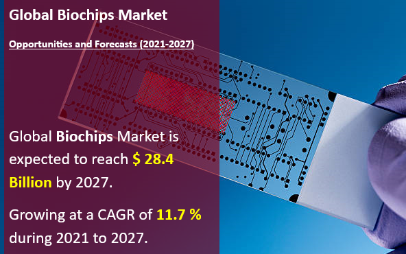 Global Biochips Market 