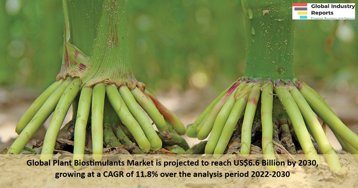 Plant Biostimulants Market 2023
